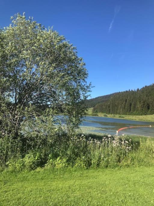 Studio Chaleureux Au Depart Des Sentiers Et Pistes De Ski Lajoux Exterior foto